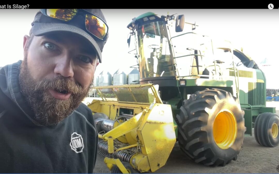 Quick Dick McDick: What is silage?