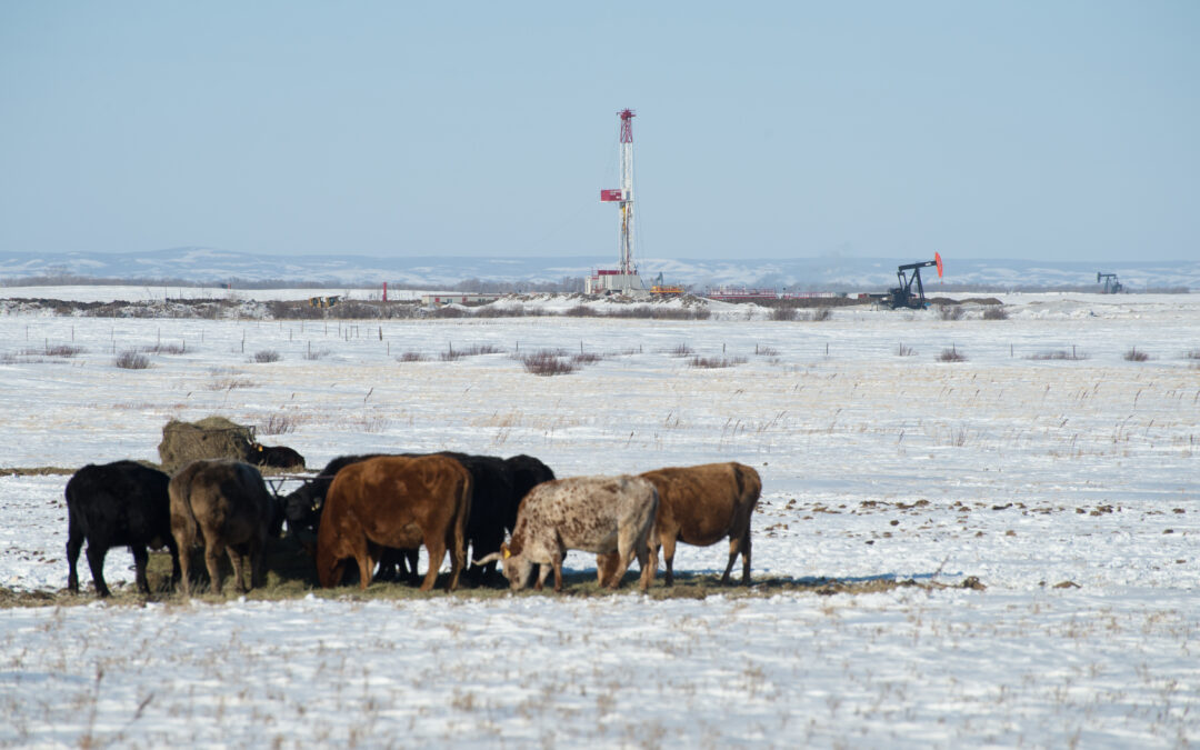 Jim Warren: Who’s next? First it was fossil fuels that were demonized, now is it agriculture?