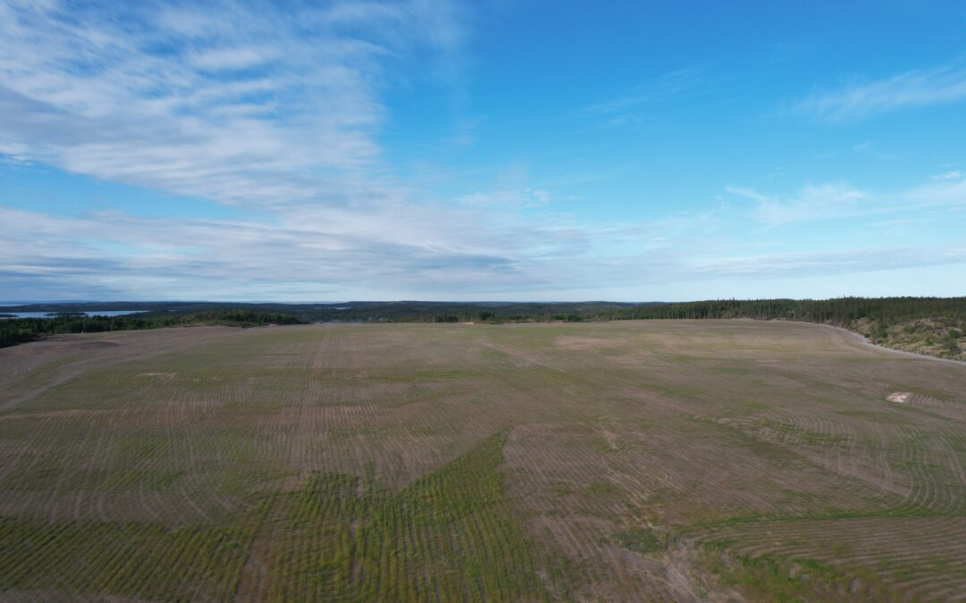 Saskatchewan Research Council: Going green at Gunnar Mine and mill site