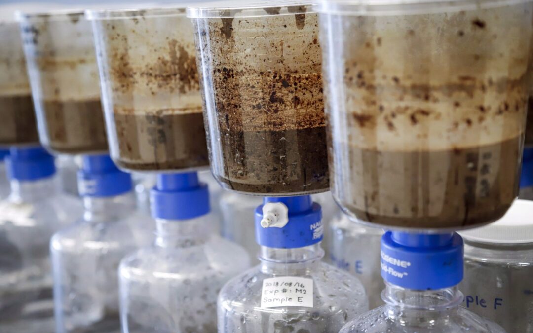 Report says Alberta energy regulator followed rules in Kearl mine wastewater release