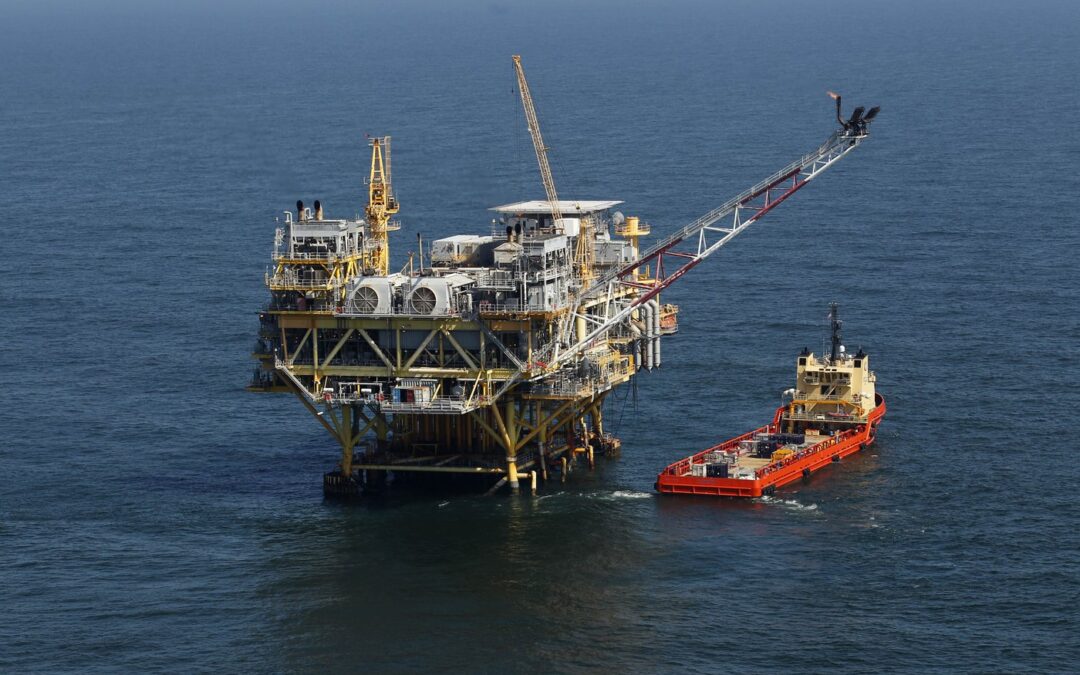 Judge blocks government plan to scale back Gulf oil lease sale to protect whale species
