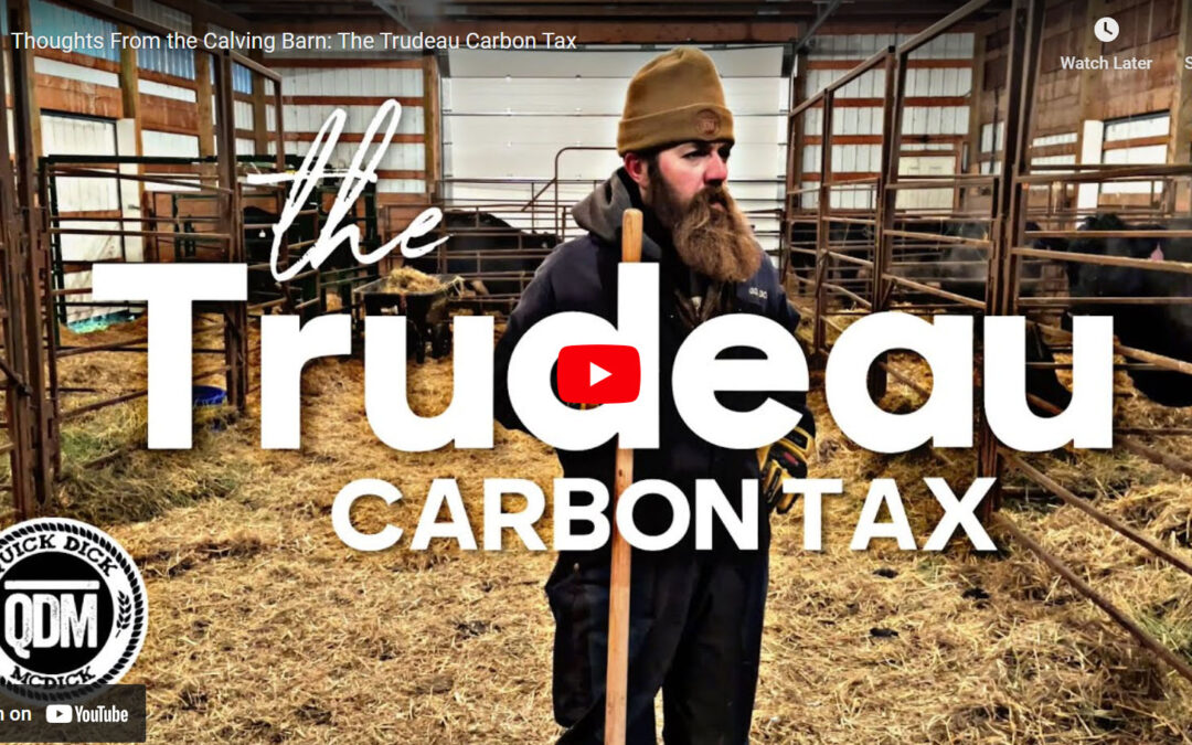 Quick Dick McDick: The Trudeau Carbon Tax – Thoughts from the Calving Barn