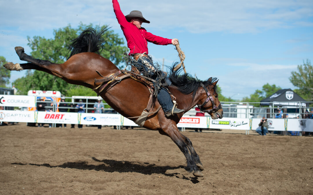 Photo Gallery: Outlaw Buckers and Oil Kings at the Saskatchewan Oil & Gas Show