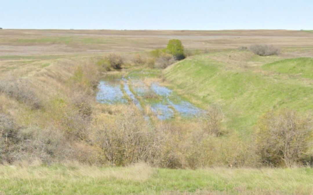 Pretty sure canals aren’t supposed to have trees in them: Stantec and MPE Engineering Firms Selected for Westside Irrigation Rehabilitation Project