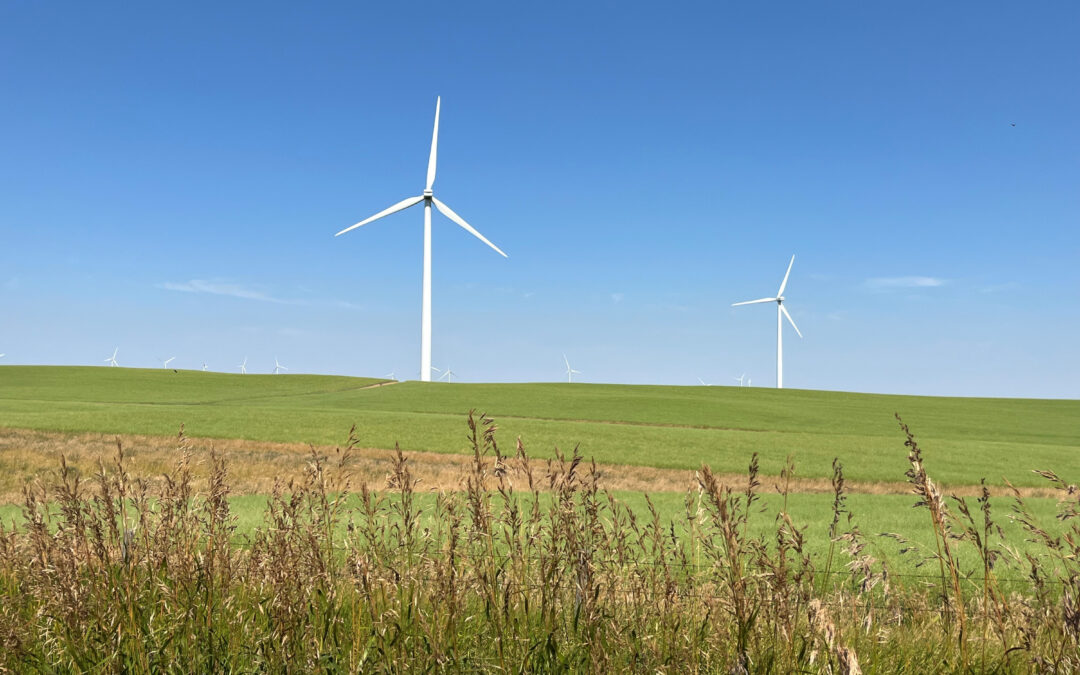 Windless Wednesday in Alberta as output falls to 0.1 per cent, while Nova Scotia pitches powering a quarter of the country with wind
