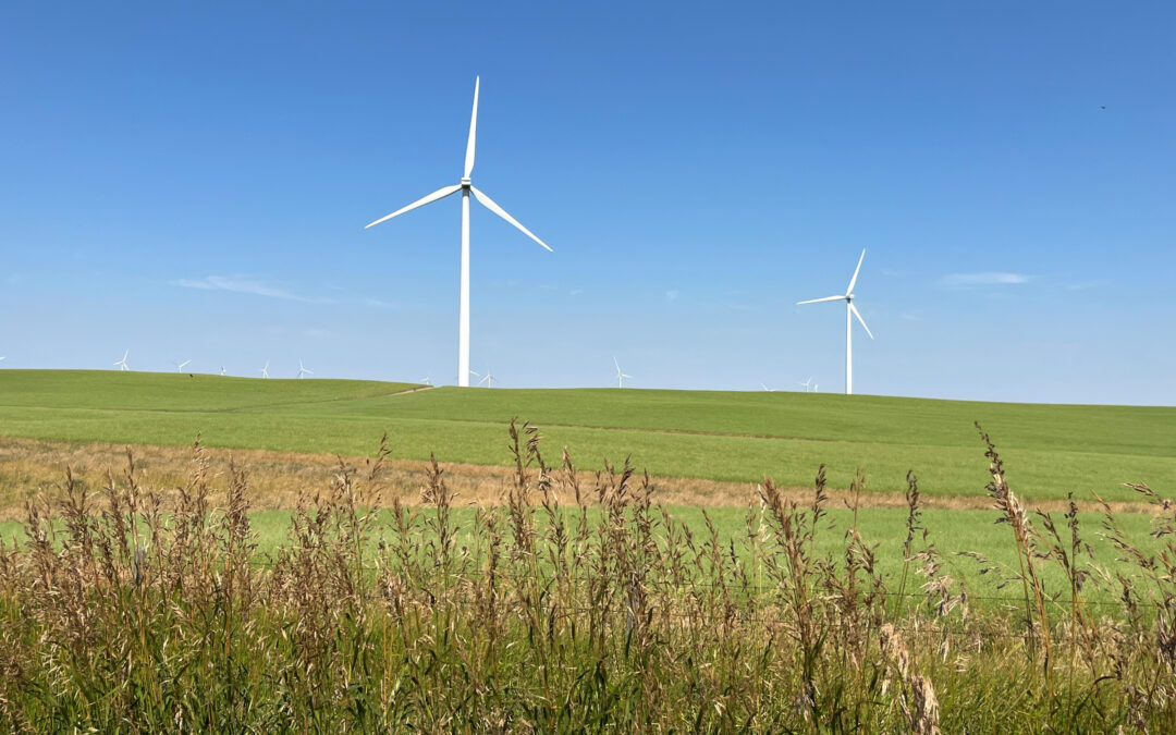 Wind output in Alberta falls below 1 per cent, again, Sunday morning