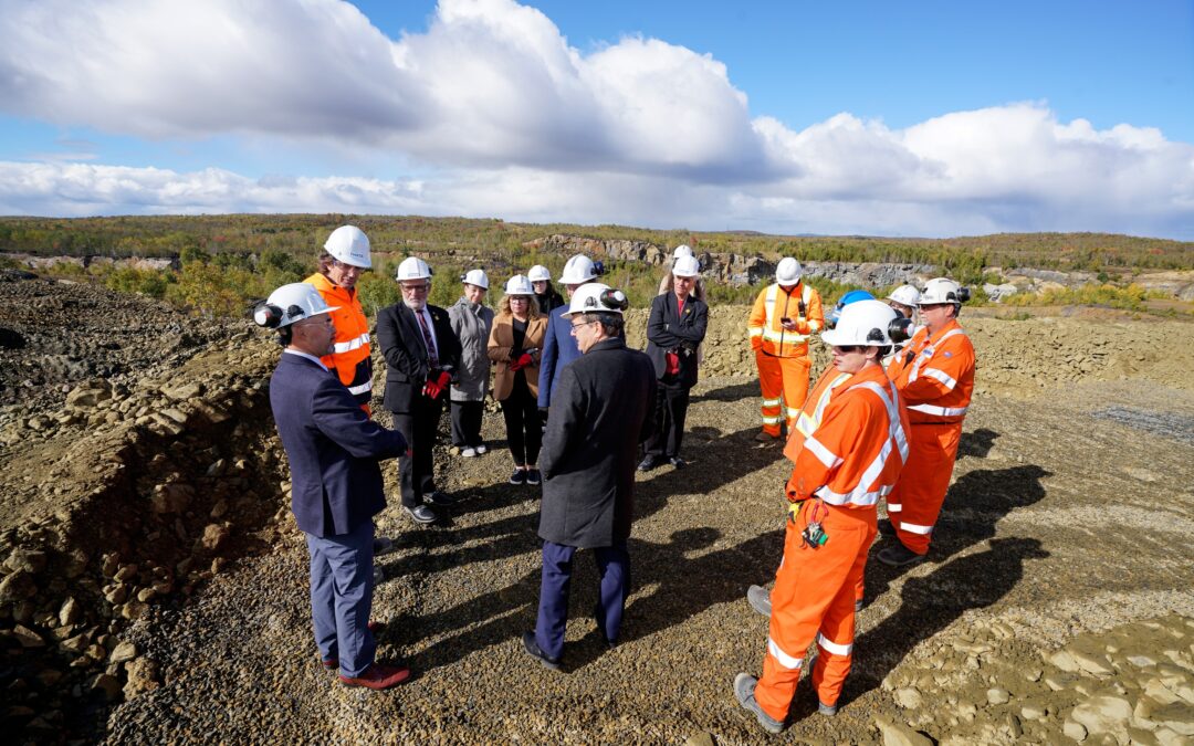 Joint Statement on Critical Minerals and Critical Raw Materials Cooperation