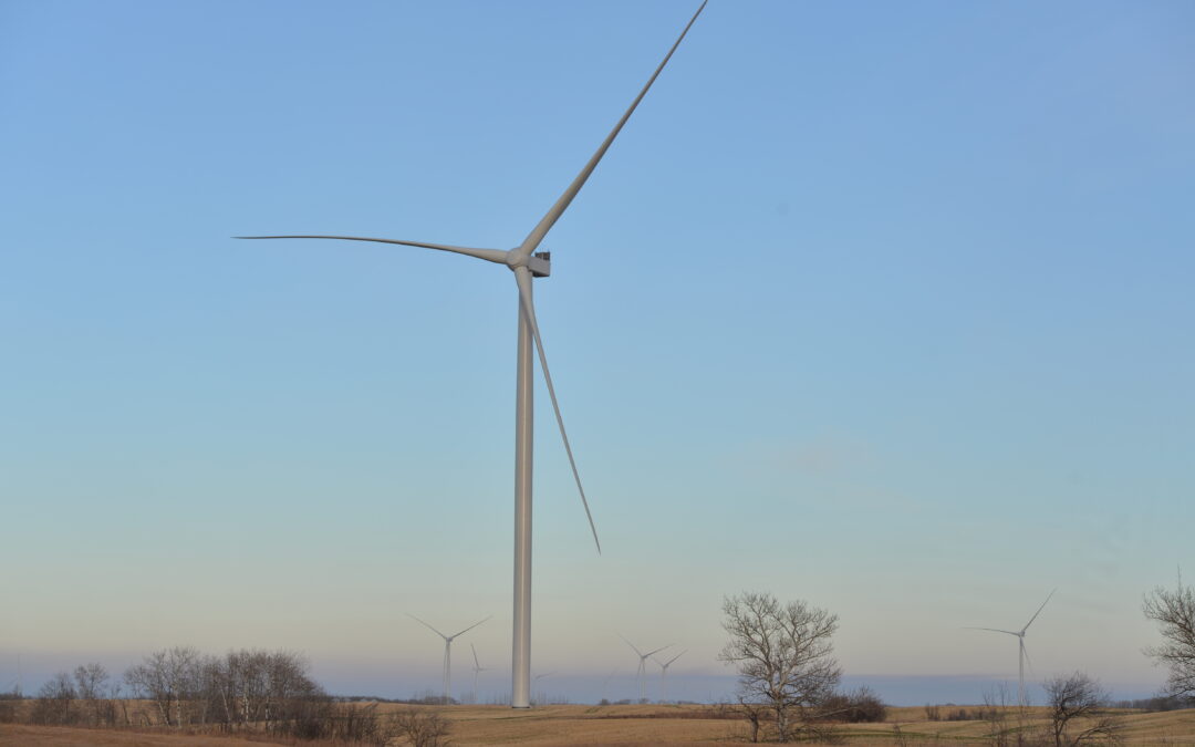 SaskPower now offers greenwashing program